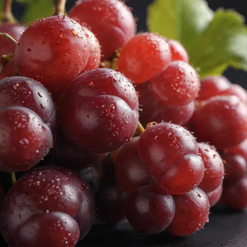 TRANS-RESVERATROL 