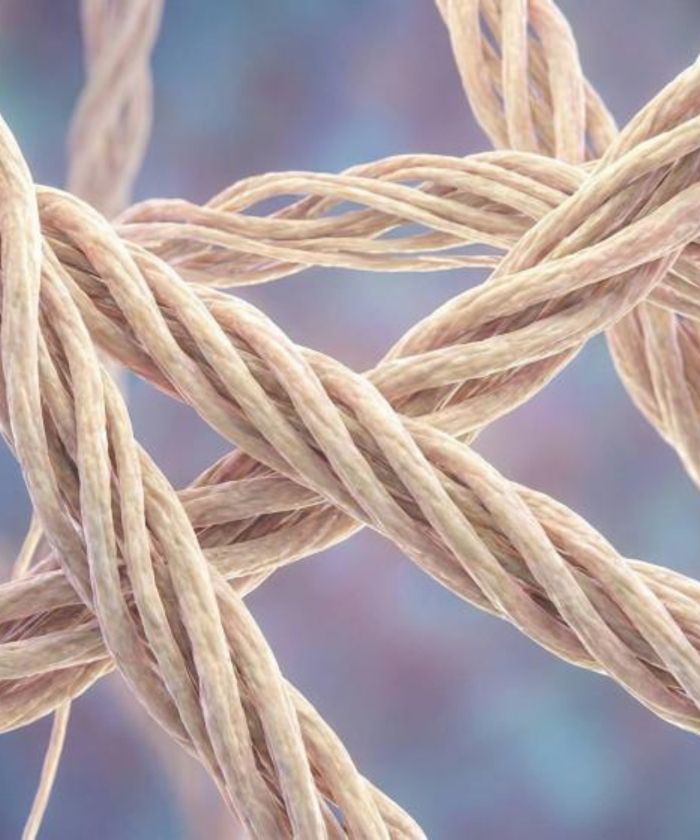 HYDROLYZED COLLAGEN PEPTIDES 